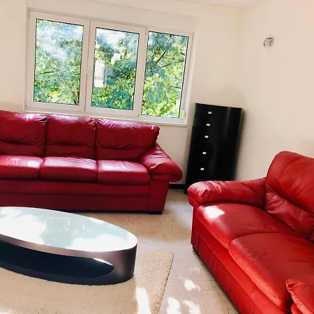 Joy George 12 * Timişoara