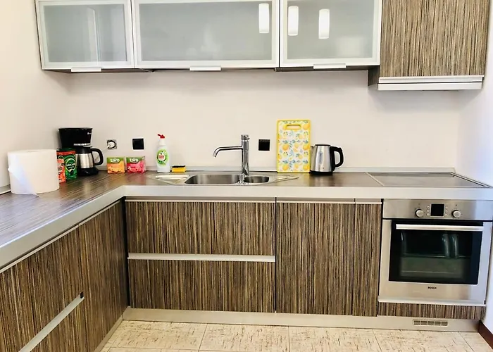 Joy George 12 Lejlighed Timişoara