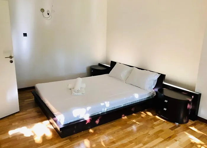 Joy George 12 * Timişoara