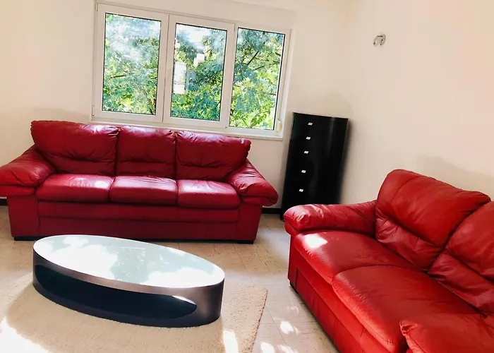 Joy George 12 * Timişoara