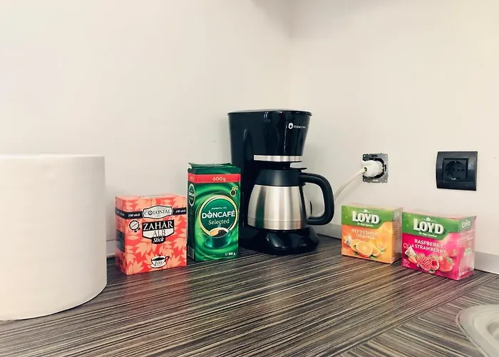 Lejlighed Joy George 12 Timişoara