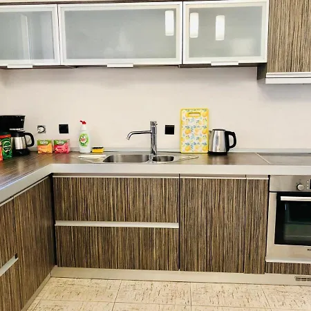Joy George 12 Apartment Timişoara